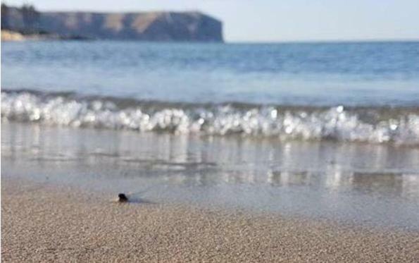Acogedor Y Precioso Atico En Javea Primera Linea Playa エクステリア 写真
